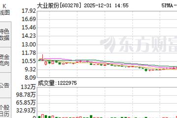 大业股份尾盘涨停,上演“准天地天”行情,6连板收官跨年交易日