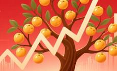 红利基金总规模突破3100亿元,持续增长势头强劲